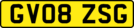 GV08ZSG