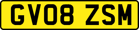 GV08ZSM