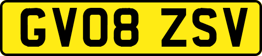 GV08ZSV