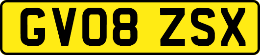 GV08ZSX