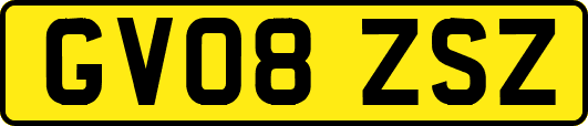 GV08ZSZ
