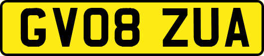 GV08ZUA