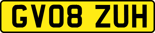 GV08ZUH
