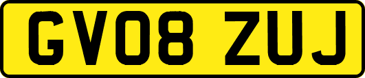 GV08ZUJ