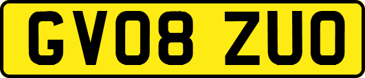 GV08ZUO
