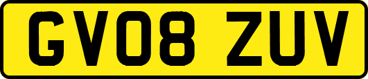 GV08ZUV