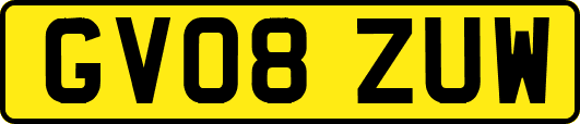 GV08ZUW