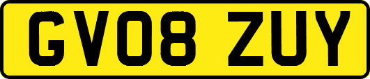 GV08ZUY