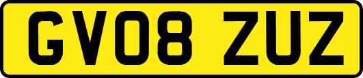 GV08ZUZ