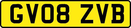 GV08ZVB