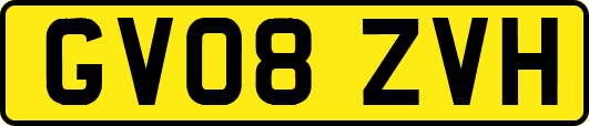 GV08ZVH