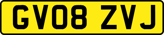 GV08ZVJ