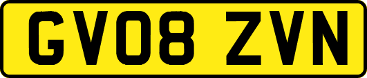GV08ZVN