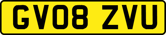 GV08ZVU
