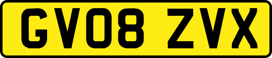 GV08ZVX
