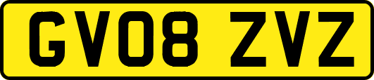 GV08ZVZ