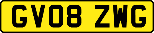 GV08ZWG