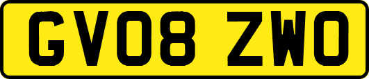 GV08ZWO