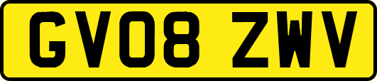 GV08ZWV
