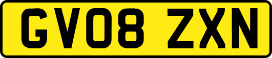 GV08ZXN