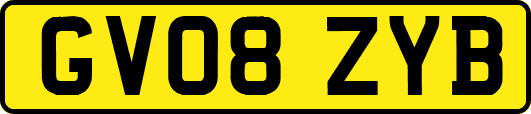 GV08ZYB