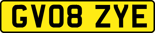 GV08ZYE