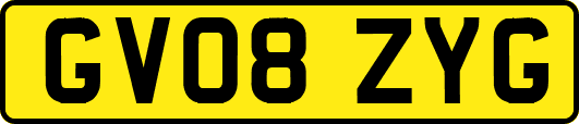 GV08ZYG