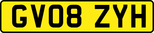 GV08ZYH