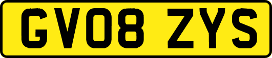GV08ZYS