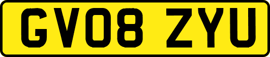 GV08ZYU