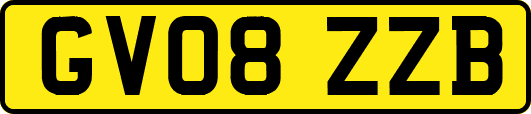 GV08ZZB