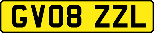 GV08ZZL