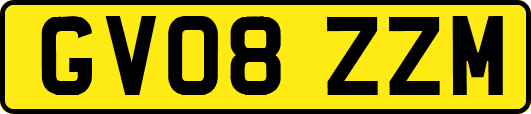 GV08ZZM