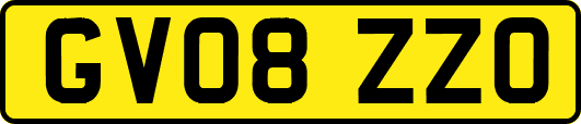 GV08ZZO
