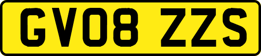 GV08ZZS