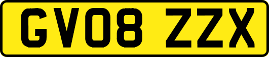 GV08ZZX