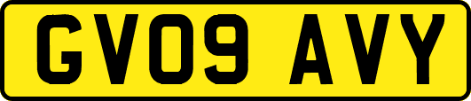 GV09AVY