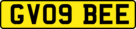 GV09BEE