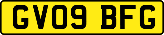 GV09BFG