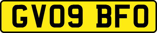 GV09BFO