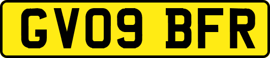 GV09BFR