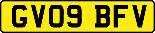 GV09BFV