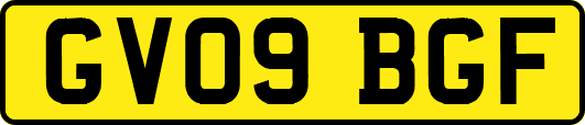 GV09BGF