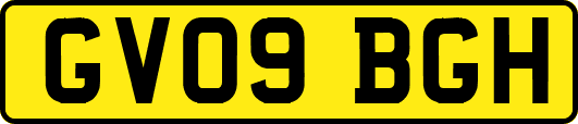GV09BGH