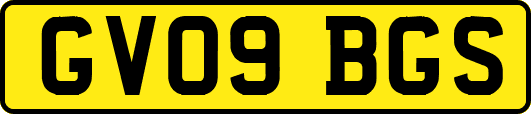 GV09BGS
