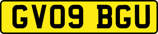 GV09BGU