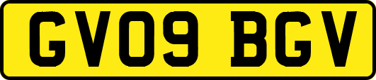 GV09BGV