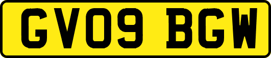 GV09BGW