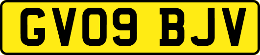 GV09BJV
