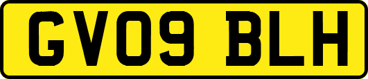 GV09BLH